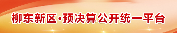 财政信息