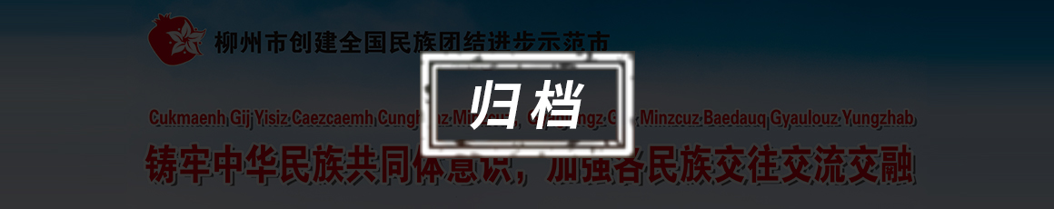 柳东新区全面深入持久开展民族团结进步创建工作铸牢中华民族共同体意识专栏